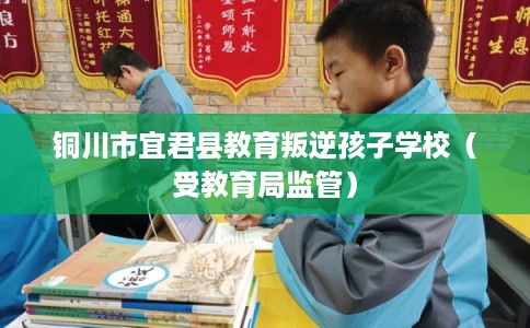 铜川市宜君县教育叛逆孩子学校（受教育局监管）
