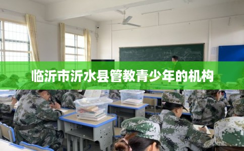 临沂市沂水县管教青少年的机构