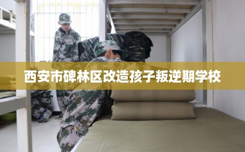 西安市碑林区改造孩子叛逆期学校 西安市碑林区改造孩子叛逆期学校