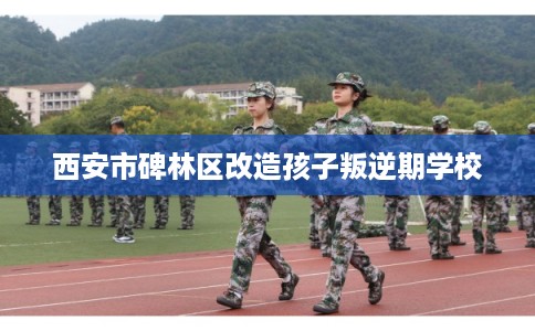 西安市碑林区改造孩子叛逆期学校 西安市碑林区改造孩子叛逆期学校