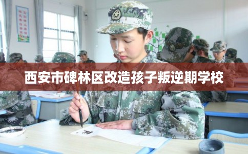 西安市碑林区改造孩子叛逆期学校 西安市碑林区改造孩子叛逆期学校
