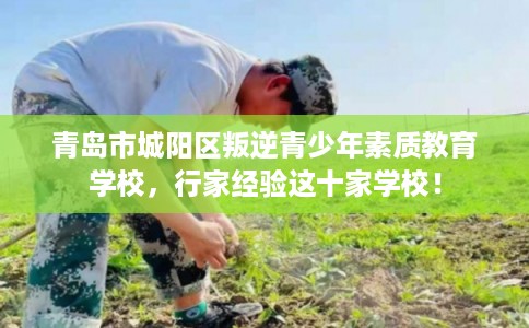 青岛市城阳区叛逆青少年素质教育学校,行家经验这十家学校! 青岛市城阳区叛逆青少年素质教育学校,行家经验这十家学校!