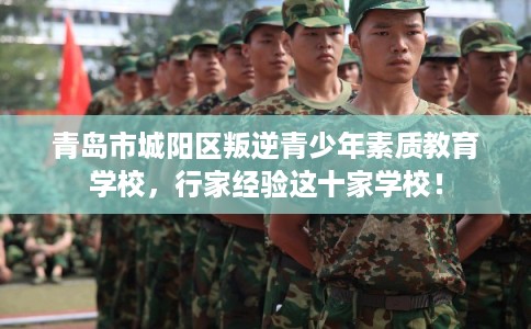 青岛市城阳区叛逆青少年素质教育学校，行家经验这十家学校！