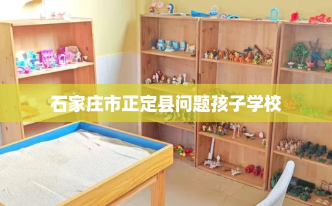 石家庄市正定县问题孩子学校 石家庄市正定县问题孩子学校