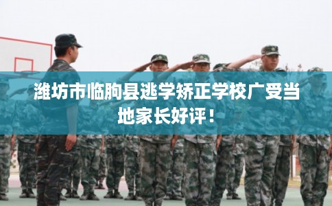潍坊市临朐县逃学矫正学校广受当地家长好评！