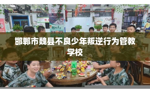 邯郸市魏县不良少年叛逆行为管教学校 邯郸市魏县不良少年叛逆行为管教学校
