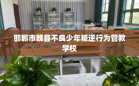 邯郸市魏县不良少年叛逆行为管教学校 邯郸市魏县不良少年叛逆行为管教学校