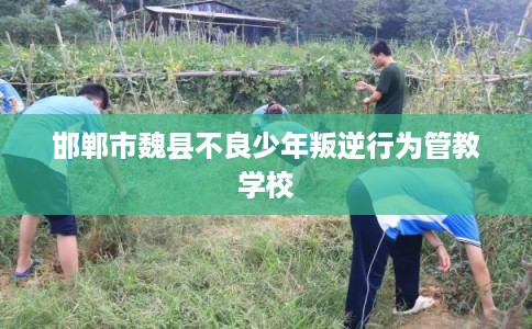 邯郸市魏县不良少年叛逆行为管教学校 邯郸市魏县不良少年叛逆行为管教学校