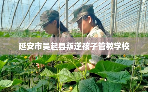 延安市吴起县叛逆孩子管教学校