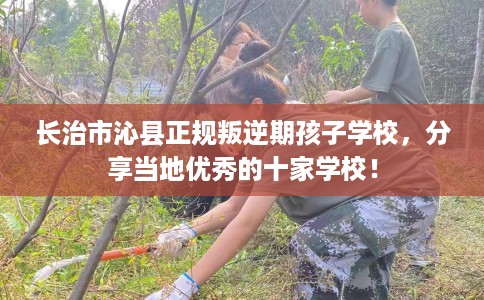 长治市沁县正规叛逆期孩子学校，分享当地优秀的十家学校！