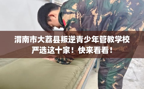渭南市大荔县叛逆青少年管教学校严选这十家!快来看看! 渭南市大荔县叛逆青少年管教学校严选这十家!快来看看!