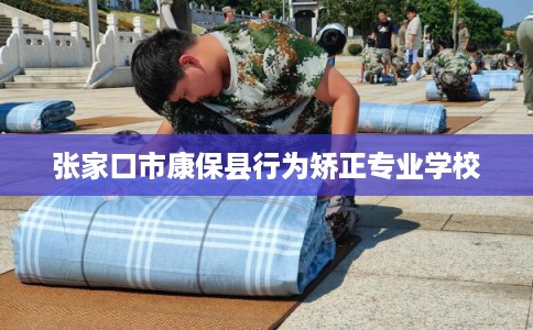 张家口市康保县行为矫正专业学校