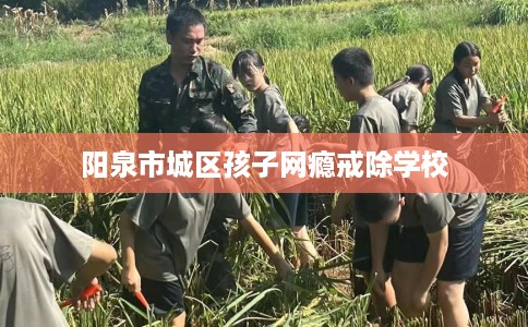 阳泉市城区孩子网瘾戒除学校