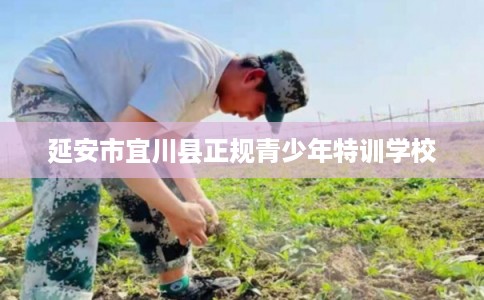 延安市宜川县正规青少年特训学校
