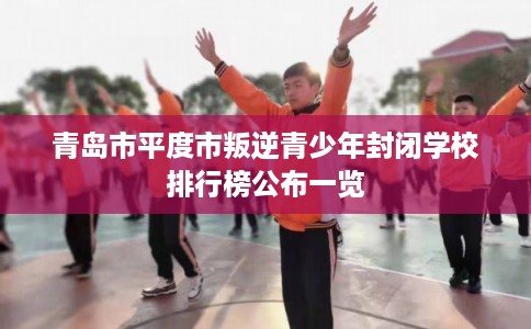 青岛市平度市叛逆青少年封闭学校排行榜公布一览