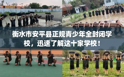 衡水市安平县正规青少年全封闭学校,迅速了解这十家学校! 衡水市安平县正规青少年全封闭学校,迅速了解这十家学校!