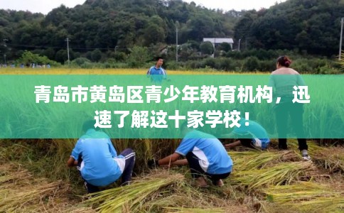 青岛市黄岛区青少年教育机构,迅速了解这十家学校! 青岛市黄岛区青少年教育机构,迅速了解这十家学校!