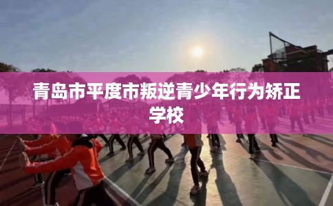 青岛市平度市叛逆青少年行为矫正学校
