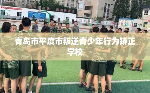 青岛市平度市叛逆青少年行为矫正学校