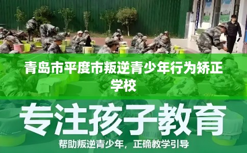 青岛市平度市叛逆青少年行为矫正学校