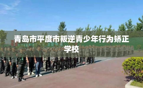 青岛市平度市叛逆青少年行为矫正学校