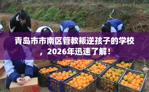 青岛市市南区管教叛逆孩子的学校,2026年迅速了解! 青岛市市南区管教叛逆孩子的学校,2026年迅速了解!