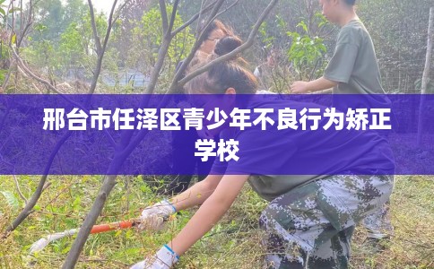 邢台市任泽区青少年不良行为矫正学校