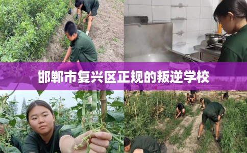 邯郸市复兴区正规的叛逆学校