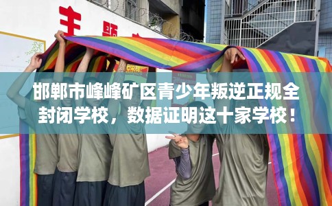 邯郸市峰峰矿区青少年叛逆正规全封闭学校，数据证明这十家学校！