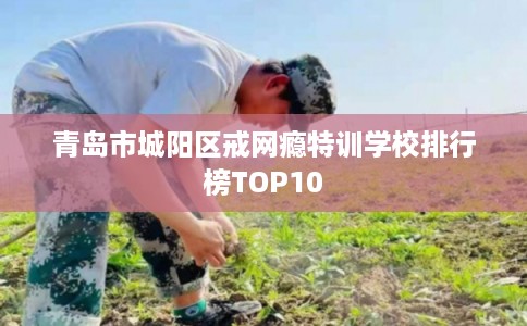 青岛市城阳区戒网瘾特训学校排行榜TOP10 青岛市城阳区戒网瘾特训学校排行榜TOP10