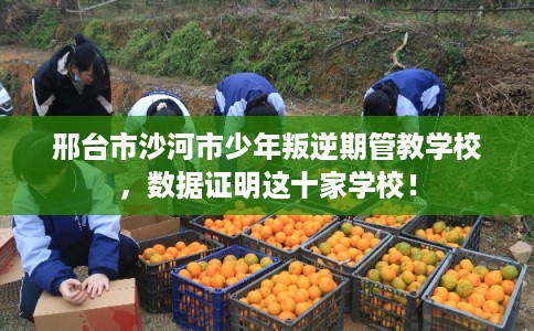邢台市沙河市少年叛逆期管教学校，数据证明这十家学校！