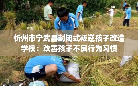 忻州市宁武县封闭式叛逆孩子改造学校:改善孩子不良行为习惯 忻州市宁武县封闭式叛逆孩子改造学校:改善孩子不良行为习惯