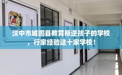汉中市城固县教育叛逆孩子的学校，行家经验这十家学校！