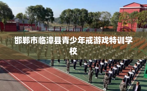 邯郸市临漳县青少年戒游戏特训学校