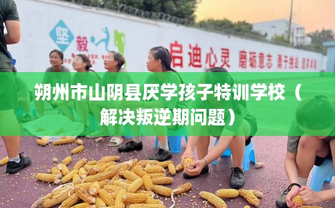 朔州市山阴县厌学孩子特训学校(解决叛逆期问题) 朔州市山阴县厌学孩子特训学校(解决叛逆期问题)