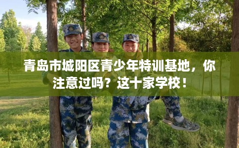 青岛市城阳区青少年特训基地，你注意过吗？这十家学校！