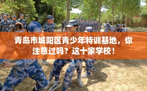 青岛市城阳区青少年特训基地，你注意过吗？这十家学校！