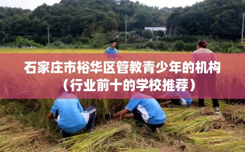 石家庄市裕华区管教青少年的机构(行业前十的学校推荐) 石家庄市裕华区管教青少年的机构(行业前十的学校推荐)