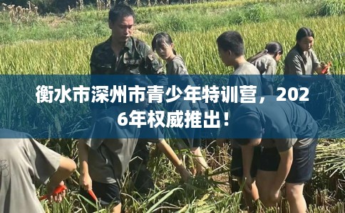 衡水市深州市青少年特训营,2026年权威推出! 衡水市深州市青少年特训营,2026年权威推出!