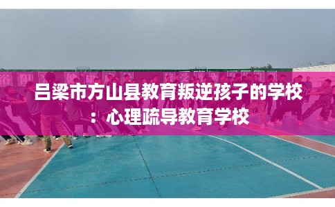 吕梁市方山县教育叛逆孩子的学校:心理疏导教育学校 吕梁市方山县教育叛逆孩子的学校:心理疏导教育学校