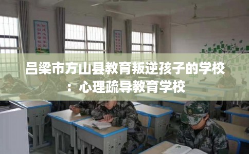 吕梁市方山县教育叛逆孩子的学校:心理疏导教育学校 吕梁市方山县教育叛逆孩子的学校:心理疏导教育学校