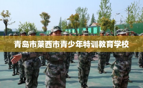 青岛市莱西市青少年特训教育学校 青岛市莱西市青少年特训教育学校
