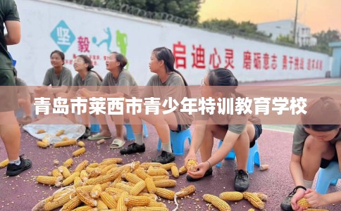 青岛市莱西市青少年特训教育学校 青岛市莱西市青少年特训教育学校