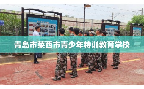 青岛市莱西市青少年特训教育学校 青岛市莱西市青少年特训教育学校