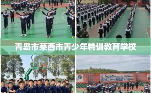 青岛市莱西市青少年特训教育学校 青岛市莱西市青少年特训教育学校