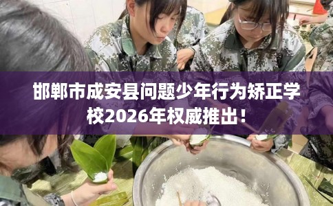 邯郸市成安县问题少年行为矫正学校2026年权威推出! 邯郸市成安县问题少年行为矫正学校2026年权威推出!