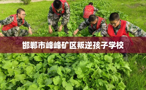 邯郸市峰峰矿区叛逆孩子学校 邯郸市峰峰矿区叛逆孩子学校
