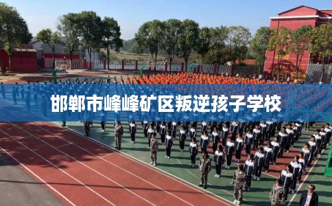 邯郸市峰峰矿区叛逆孩子学校 邯郸市峰峰矿区叛逆孩子学校