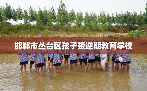 邯郸市丛台区孩子叛逆期教育学校 邯郸市丛台区孩子叛逆期教育学校