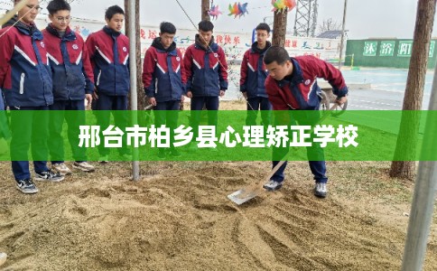 邢台市柏乡县心理矫正学校 邢台市柏乡县心理矫正学校